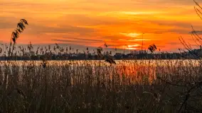 Zachód słońca nad jeziorem Tajty, marzec 2024 r. - zdjęcie 5