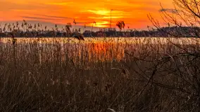 Zachód słońca nad jeziorem Tajty, marzec 2024 r. - zdjęcie 10