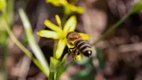 Mamy dowody na rozkwit wiosny na Mazurach, końcówka marca 2024 r. - zdjęcie 17