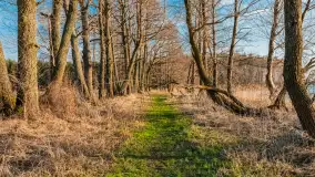 Jezioro Dargin przed zachodem słońca, marzec 2024 r. - zdjęcie 7