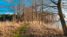 Jezioro Dargin przed zachodem słońca, marzec 2024 r. - zdjęcie 20