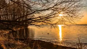 Jezioro Dargin przed zachodem słońca, marzec 2024 r. - zdjęcie 17