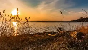 Jezioro Dargin przed zachodem słońca, marzec 2024 r. - zdjęcie 53