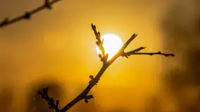 Wiosenne kadry o zachodzie słońca, koniec marca 2024 r. - zdjęcie 28