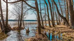 Wiosna nad jeziorem Bełdany, Binduga Tarpan I - zdjęcie 3
