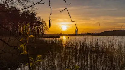 Wiosna i zachód słońca na półwyspie Kula, kwiecień 2024 r.