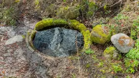 Wiosna i polana Wydra przy jeziorze Tyrkło, marzec 2024 r. - zdjęcie 27