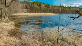 Wiosna i polana Wydra przy jeziorze Tyrkło, marzec 2024 r. - zdjęcie 4