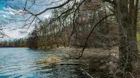 Wiosna i polana Wydra przy jeziorze Tyrkło, marzec 2024 r. - zdjęcie 11