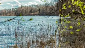 Wiosna i polana Wydra przy jeziorze Tyrkło, marzec 2024 r. - zdjęcie 24