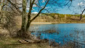 Wiosna i polana Wydra przy jeziorze Tyrkło, marzec 2024 r. - zdjęcie 6