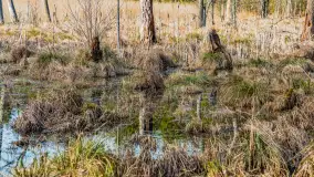 Wiosna nad niewielkim, mazurskim jeziorkiem, marzec 2024 r. - zdjęcie 18