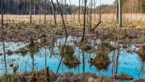 Wiosna nad niewielkim, mazurskim jeziorkiem, marzec 2024 r. - zdjęcie 4