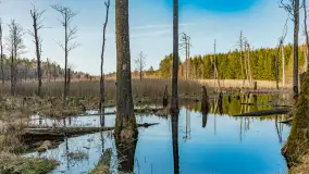 Wiosna nad niewielkim, mazurskim jeziorkiem, marzec 2024 r. - zdjęcie 1