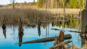 Wiosna nad niewielkim, mazurskim jeziorkiem, marzec 2024 r. - zdjęcie 23