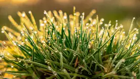 Mazurskie pajęczyny o wschodzie słońca nad jeziorem Dobskim - zdjęcie 3