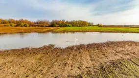 Mazurskie pajęczyny o wschodzie słońca nad jeziorem Dobskim - zdjęcie 21