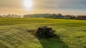 Mazurskie pajęczyny o wschodzie słońca nad jeziorem Dobskim - zdjęcie 40