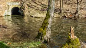 Jezioro Ublik Wielki i połączenie z Ublikiem Małym, marzec 2024 r. - zdjęcie 15