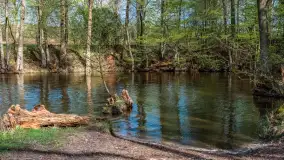 Zabytkowy młyn wodny przy Krutyni, kwiecień 2024 r. - zdjęcie 29