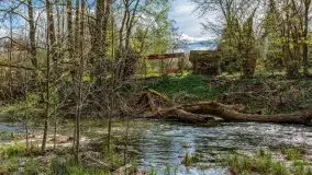 Zabytkowy młyn wodny przy Krutyni, kwiecień 2024 r. - zdjęcie 41