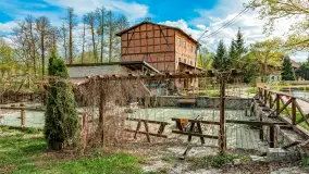 Zabytkowy młyn wodny przy Krutyni, kwiecień 2024 r. - zdjęcie 20