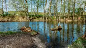 Zabytkowy młyn wodny przy Krutyni, kwiecień 2024 r. - zdjęcie 48