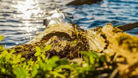 Zachód słońca nad jeziorem Salęt, kwiecień 2024 r. - zdjęcie 24