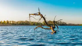 Zachód słońca nad jeziorem Salęt, kwiecień 2024 r. - zdjęcie 6