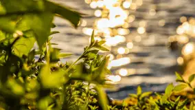 Zachód słońca nad jeziorem Salęt, kwiecień 2024 r. - zdjęcie 46