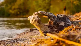 Zachód słońca nad jeziorem Niegocin, kwiecień 2024 r. - zdjęcie 12