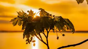 Zachód słońca nad jeziorem Niegocin, kwiecień 2024 r. - zdjęcie 7