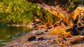 Zachód słońca nad jeziorem Niegocin, kwiecień 2024 r. - zdjęcie 11