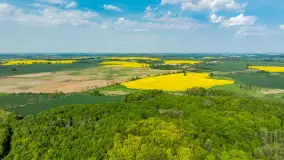 Rzepakowe pola widoczne z lotu ptaka, maj 2024 r. - zdjęcie 13