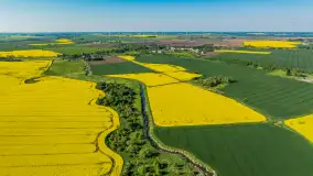 Rzepakowe pola widoczne z lotu ptaka, maj 2024 r. - zdjęcie 17