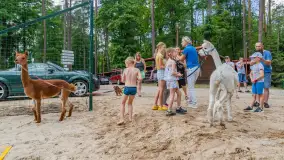 Dzień Dziecka w Ośrodku Wypoczynkowym Wodnik, czerwiec 2024 r. - zdjęcie 4