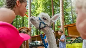 Dzień Dziecka w Ośrodku Wypoczynkowym Wodnik, czerwiec 2024 r. - zdjęcie 1