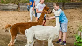 Dzień Dziecka w Ośrodku Wypoczynkowym Wodnik, czerwiec 2024 r. - zdjęcie 11
