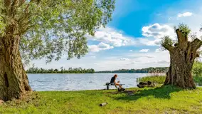 Plaża nad jeziorem Rydzówka pod koniec maja 2024 r. - zdjęcie 2