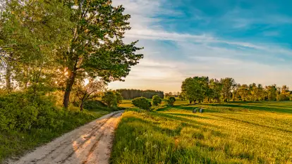 Mazury w wieczornych promieniach słońca, maj 2024 r.