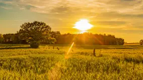 Mazury w wieczornych promieniach słońca, maj 2024 r. - zdjęcie 5