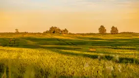 Mazury w wieczornych promieniach słońca, maj 2024 r. - zdjęcie 9