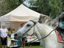 Średniowieczne klimaty gościły w Rynie na Mazurach - zdjęcie 26