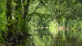 Rejs Mazury24 Omegą po Sapinie, sierpień 2024 r. - zdjęcie 11