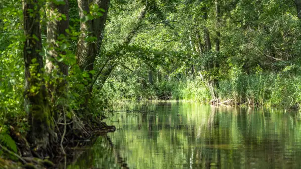 Rejs Mazury24 Omegą po Sapinie, sierpień 2024 r. - zdjęcie 11