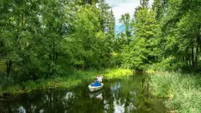 Rejs Mazury24 Omegą po Sapinie, sierpień 2024 r. - zdjęcie 39