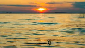 Sierpniony zachód nad jeziorem Dargin 2024 - zdjęcie 19