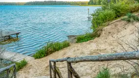 Puszcza Piska na początku września 2024 r. - zdjęcie 32