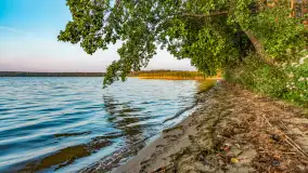 Puszcza Piska na początku września 2024 r. - zdjęcie 37