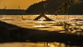 Puszcza Piska na początku września 2024 r. - zdjęcie 105